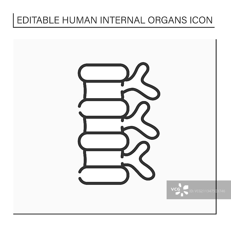 脊柱线条图标图片素材