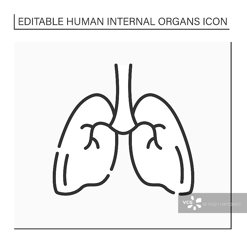 肺部线性图标图片素材