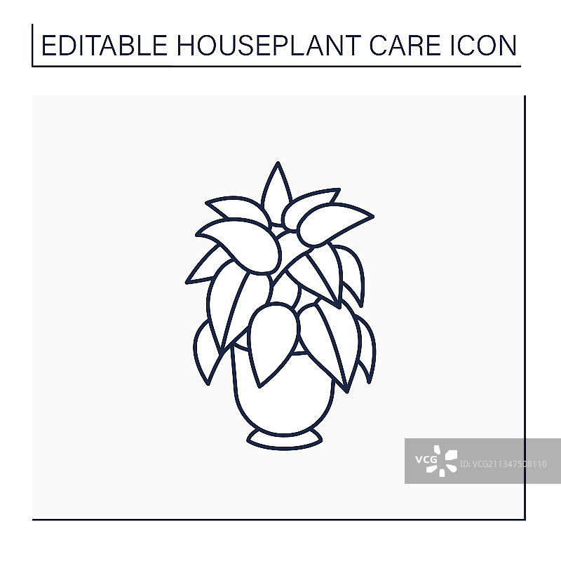 花叶万年青线性图标图片素材