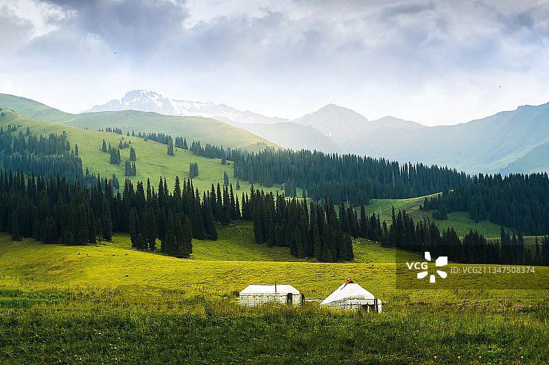美丽的那拉提草原，毡房好似白莲花图片素材