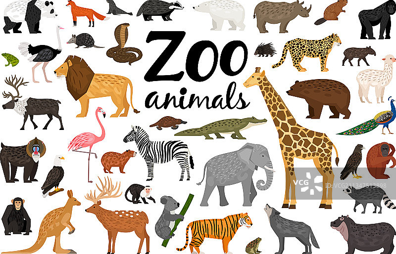 包含不同野生动物的大型动物园场景图片素材