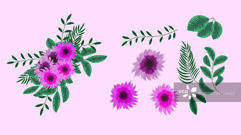 野生花卉植物合集图片素材