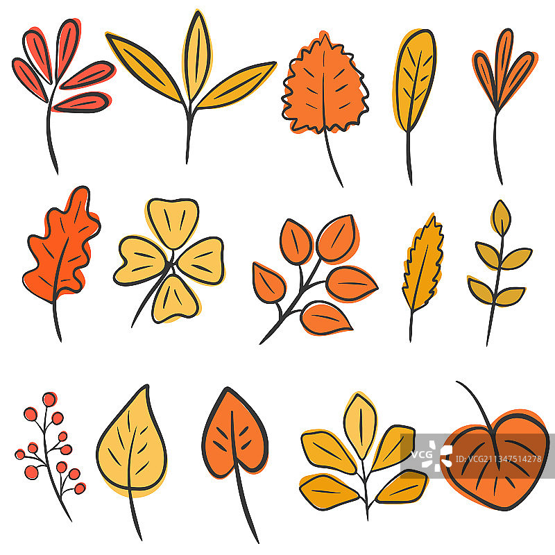 手绘秋叶合集图片素材