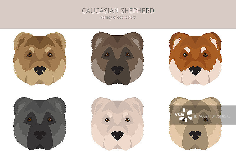 不同姿势的高加索牧羊犬剪贴画图片素材