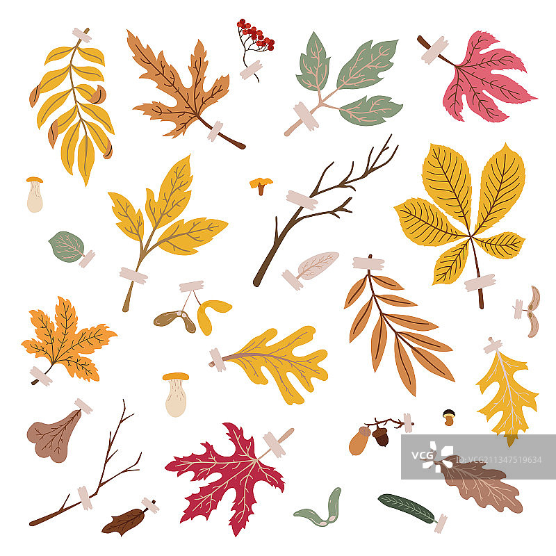 秋天 11图片素材