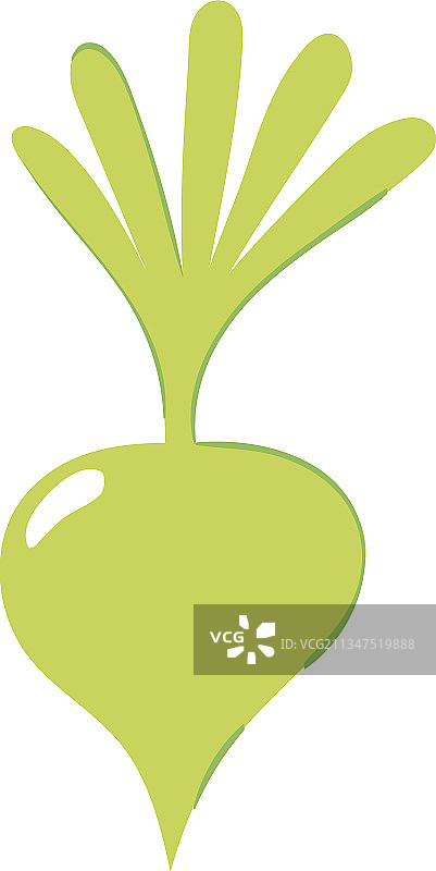 绿色萝卜图片素材