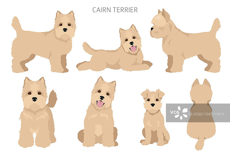 凯恩梗剪贴画不同姿势和毛色图片素材