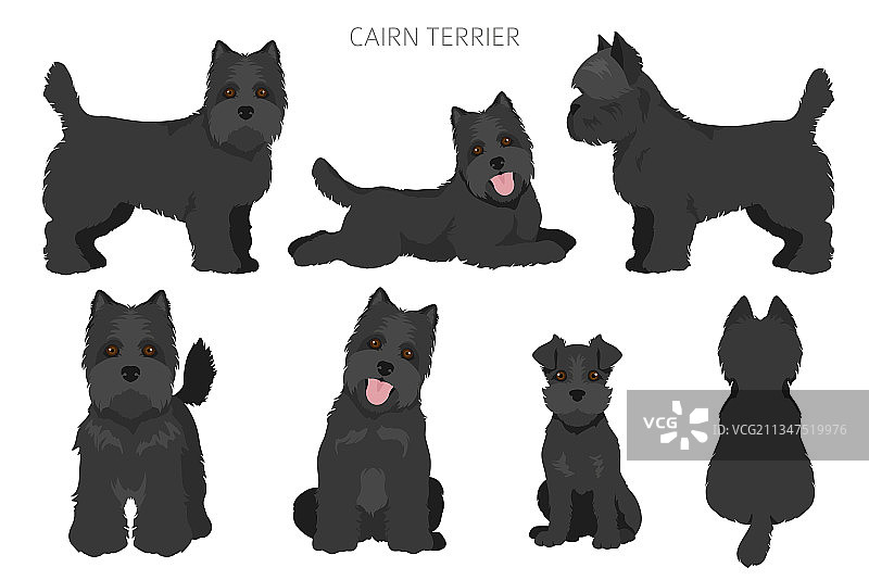 凯恩梗剪贴画不同姿势和毛色图片素材