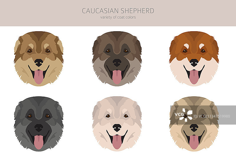 不同姿势的高加索牧羊犬剪贴画图片素材
