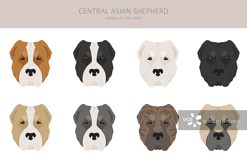 中亚牧羊犬不同姿势剪贴画图片素材