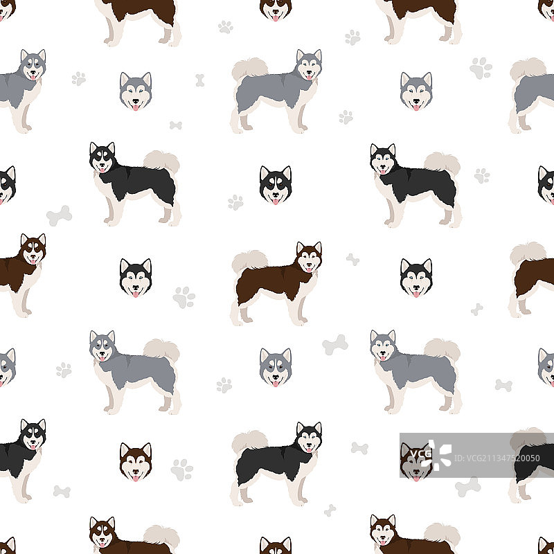 加拿大爱斯基摩犬无缝图案图片素材