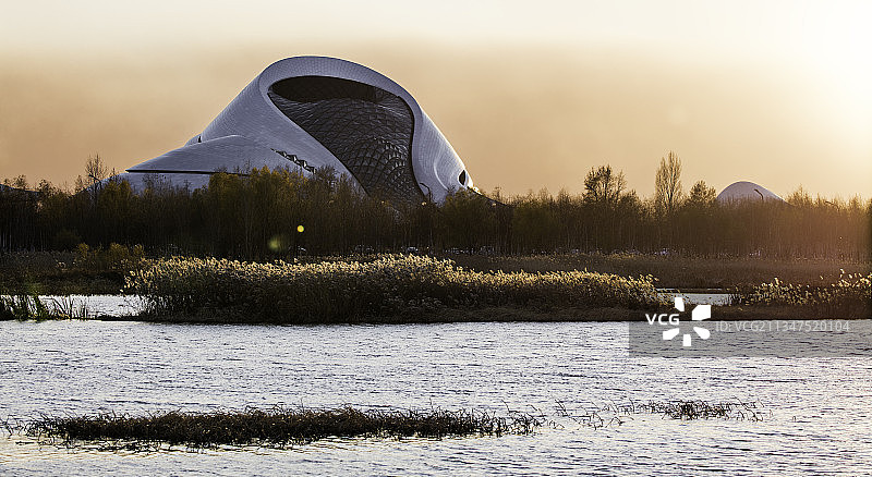 哈尔滨大剧院夕阳图片素材