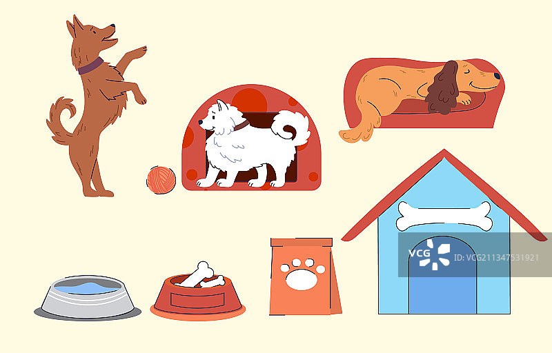 米色背景上的宠物用品素材图片素材