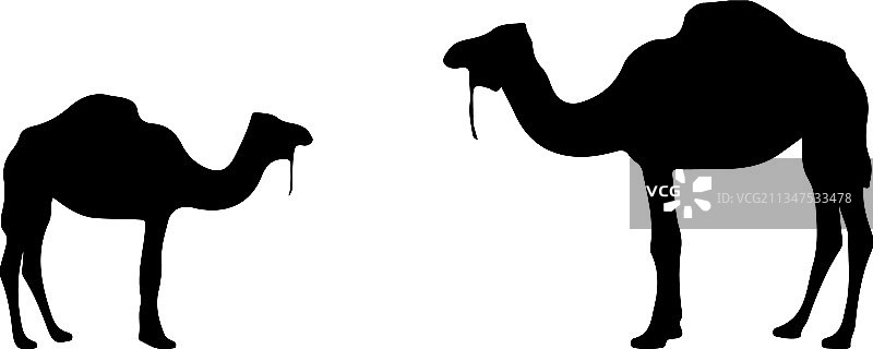 骆驼剪影图片素材