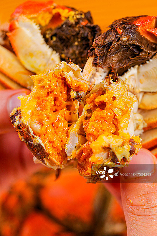 阳澄湖大闸蟹鲜活肥满图片素材