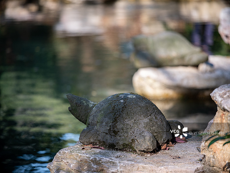 乌龟，石材，雕刻图片素材