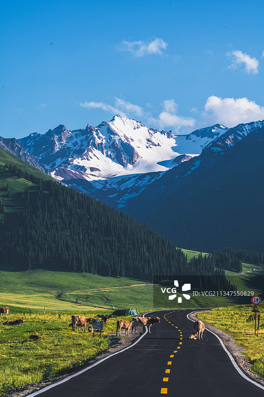 那拉提雪山图片素材