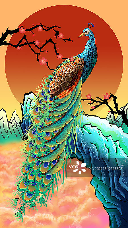 一只站在石头上的孔雀图片素材