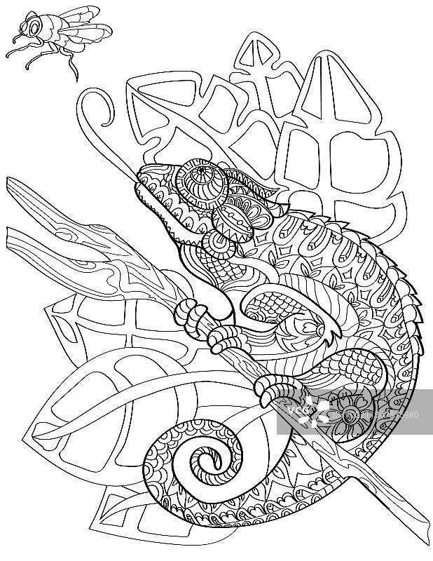 站在木棍上的大变色龙图片素材