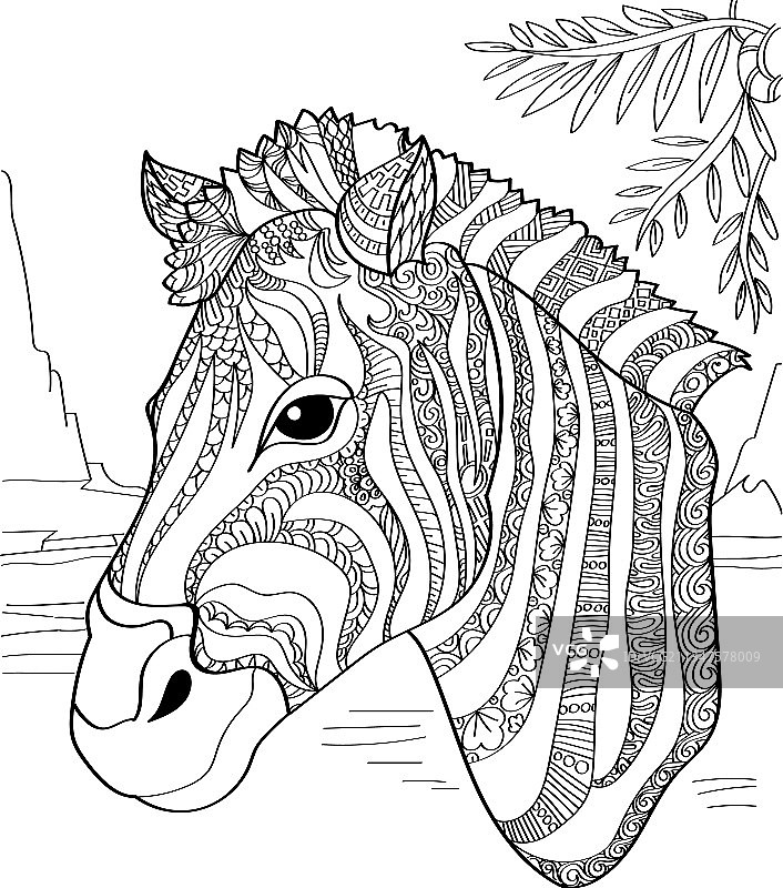 侧面斑马头部与树叶图片素材