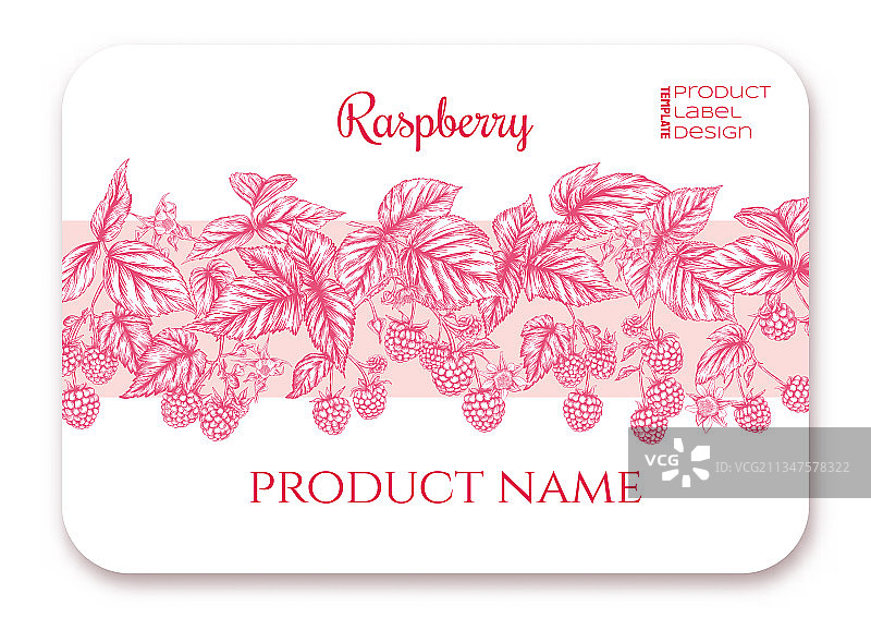 树枝上成熟的覆盆子莓果模板图片素材