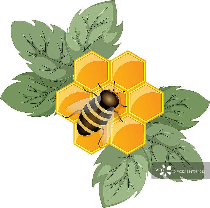 蜂巢与花朵的概念图片素材