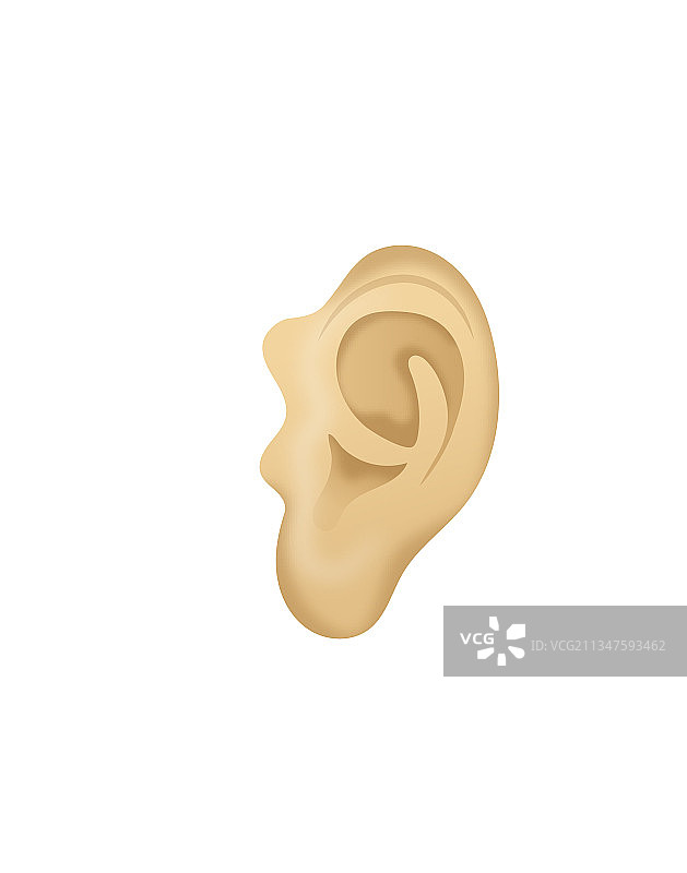 耳朵图片素材