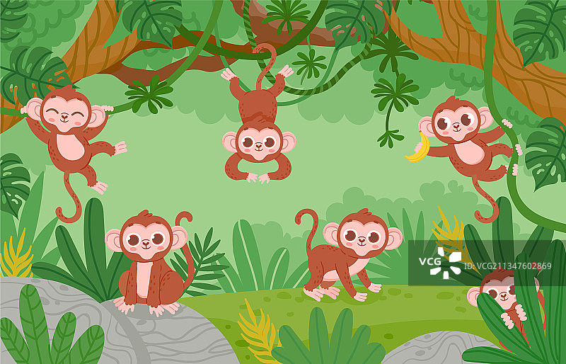 在丛林中悬挂在藤本树上的可爱猴子图片素材