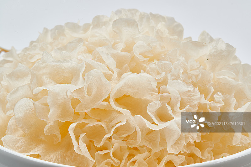 白色瓷盘装的火锅食材鲜银耳图片素材