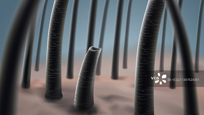 脱发问题图片素材