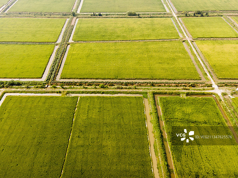 航拍视角 新农村建设图片素材