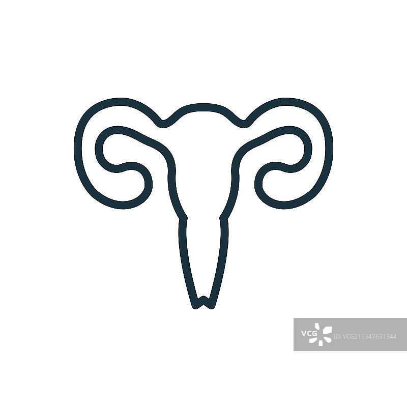 女性子宫线条图标：女性生殖系统图片素材