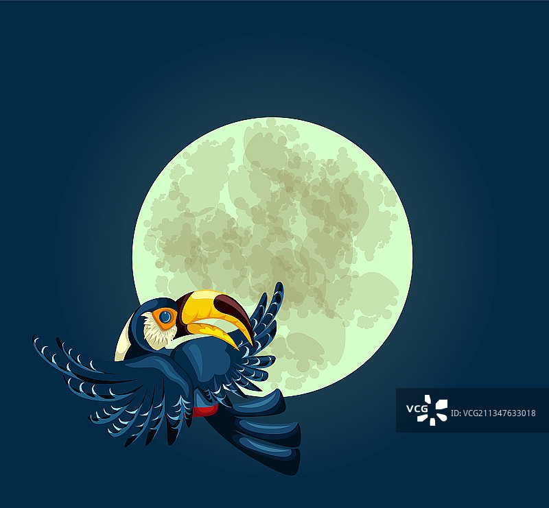 飞行中的巨嘴鸟图片素材