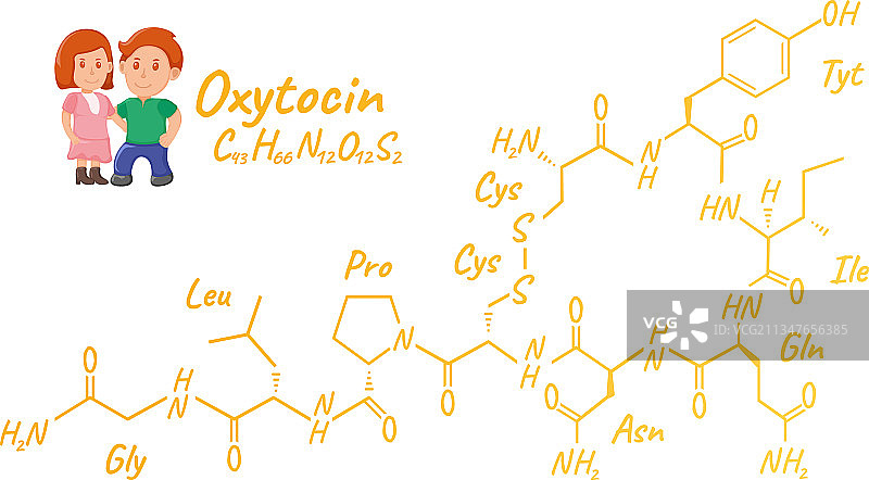 人类催产素概念化学骨架图片素材