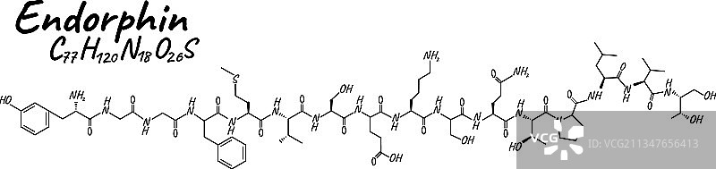 人体激素内啡肽概念化学骨架图图片素材