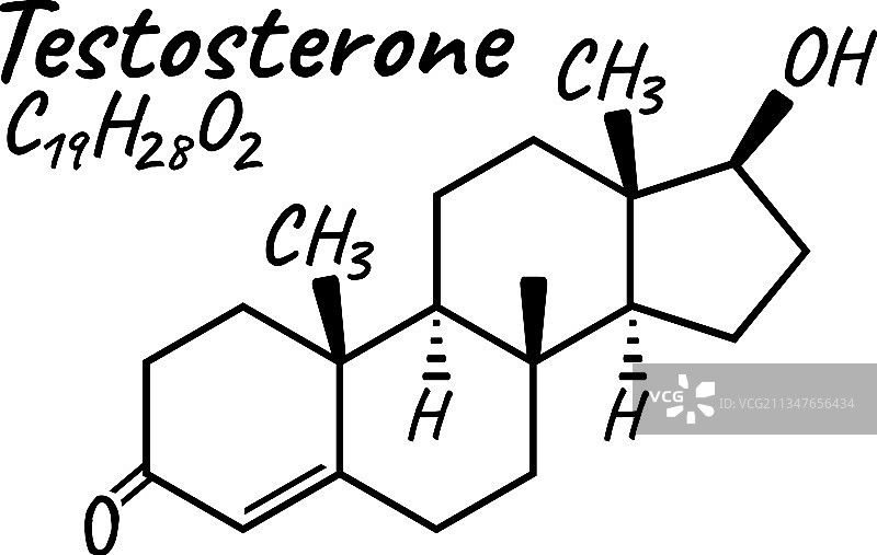 人体激素睾酮概念化学图片素材