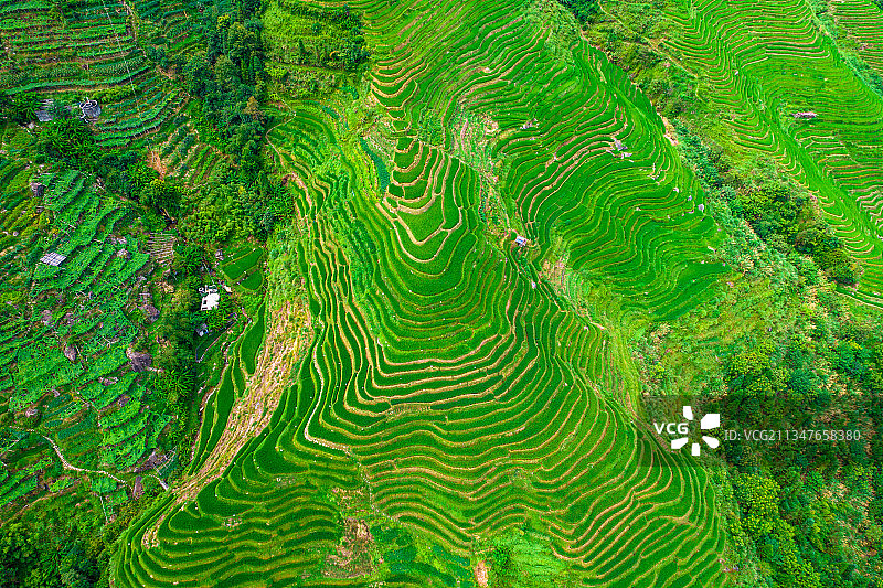 桂林龙胜龙脊风景区航拍图片素材