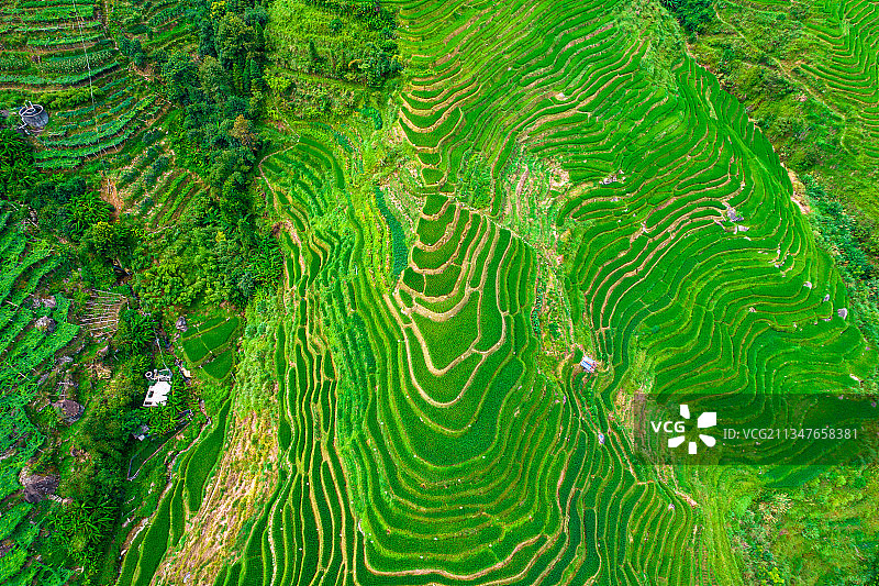 桂林龙胜龙脊风景区航拍图片素材