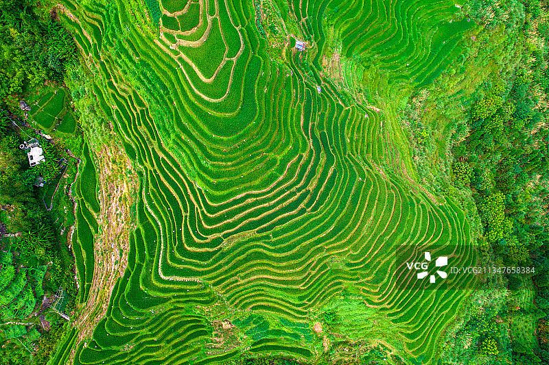 桂林龙胜龙脊风景区航拍图片素材