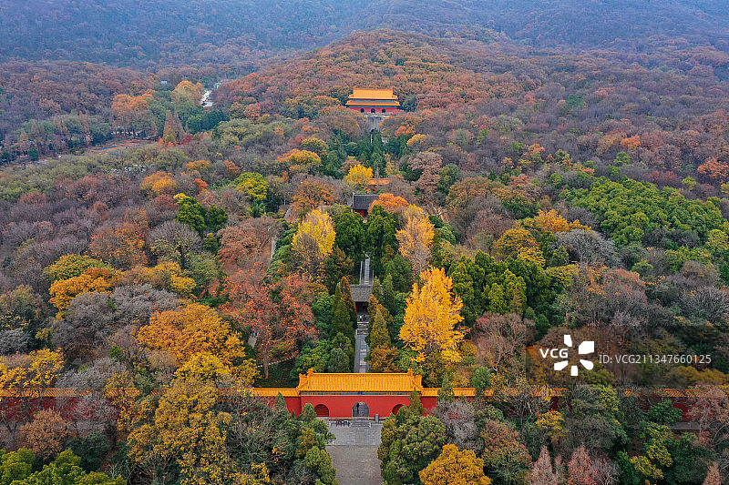 南京明孝陵的秋天图片素材