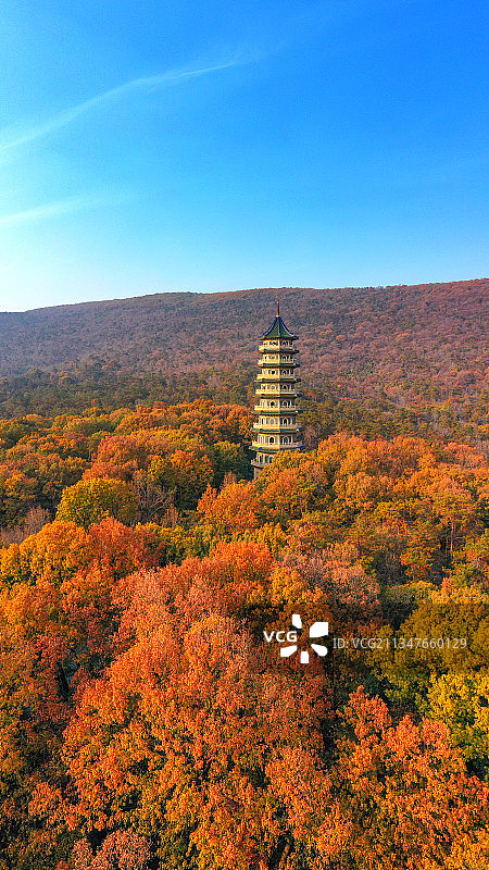 南京紫金山灵谷寺秋天图片素材