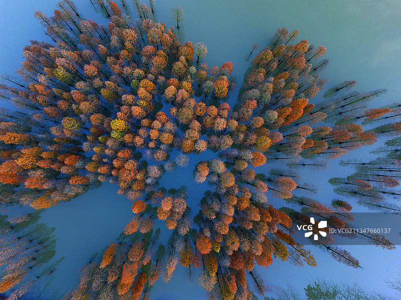 南京六合止马岭的秋天图片素材