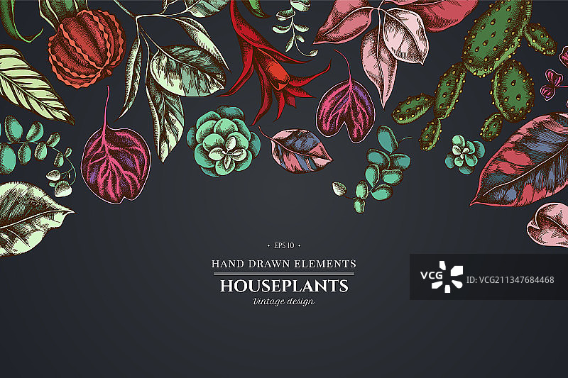 深色背景上的花卉设计与榕树图片素材