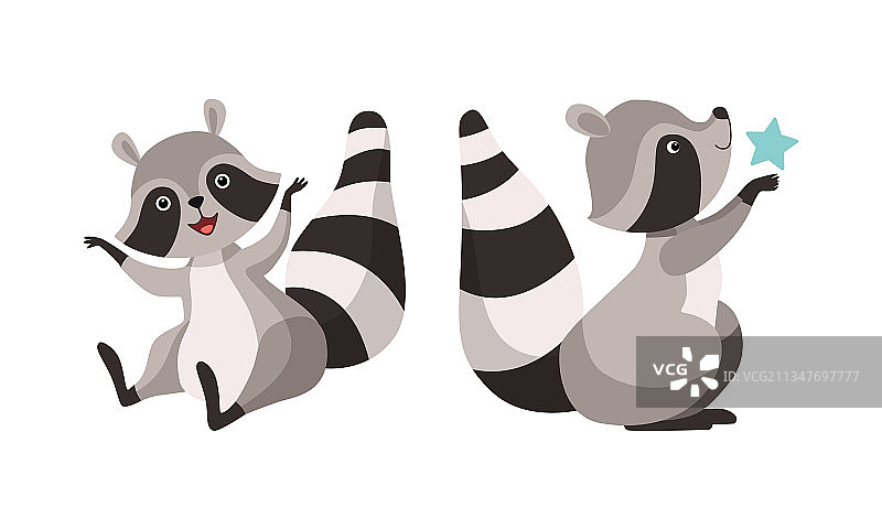 带条纹尾巴的有趣浣熊动物角色图片素材