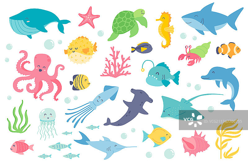 水下动物和鱼类隔离对象集合图片素材