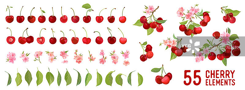樱桃、浆果、花朵与叶子图片素材