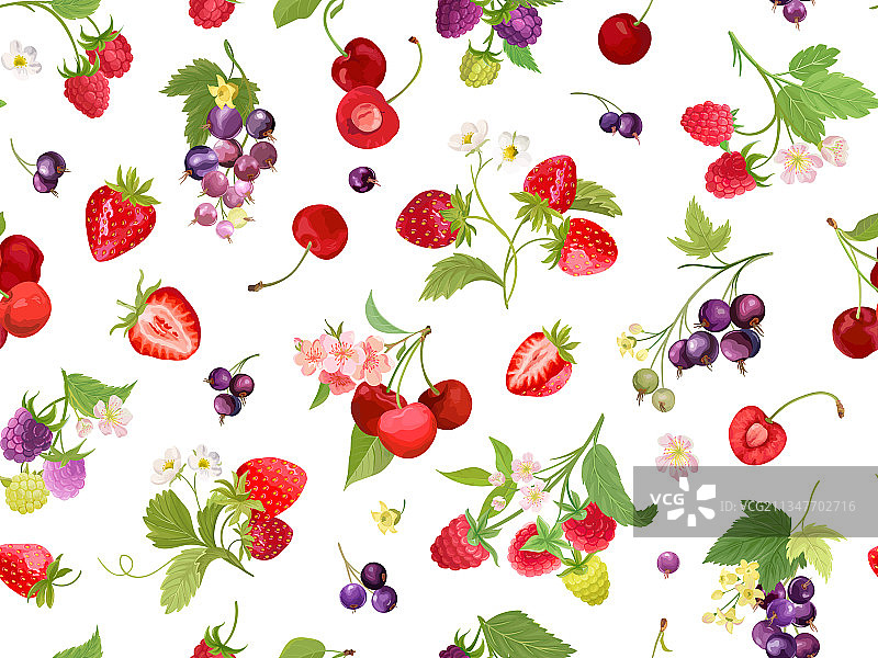 水彩樱桃草莓覆盆子黑色图片素材