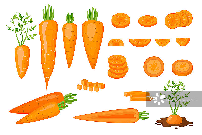 生胡萝卜切半切丁图标图片素材