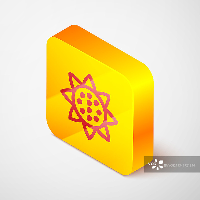 2.5D线条向日葵图标，灰色背景图片素材