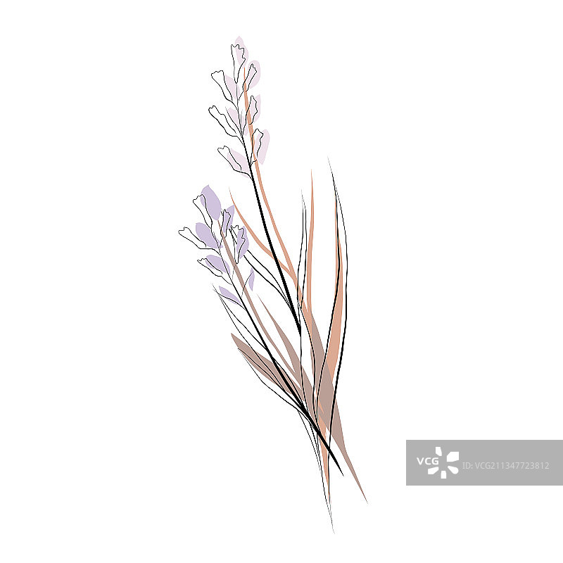 精致花束素描图片素材